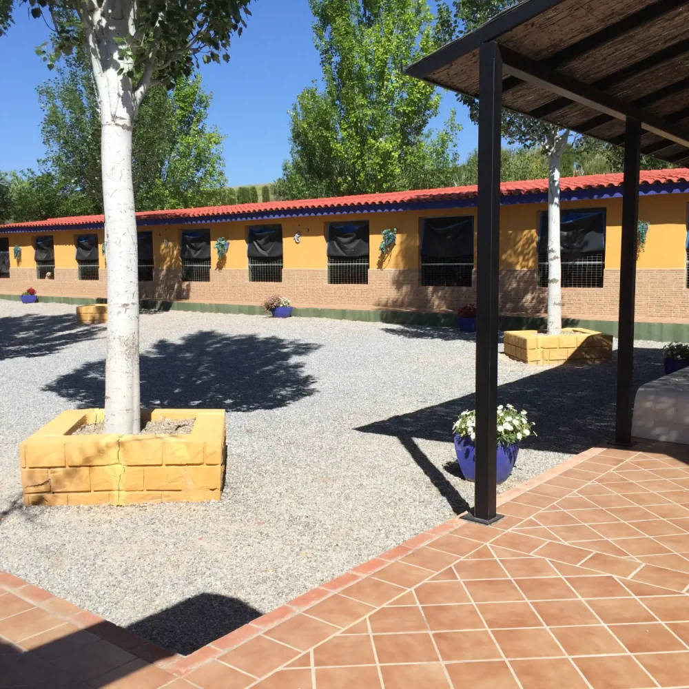 Residencia
