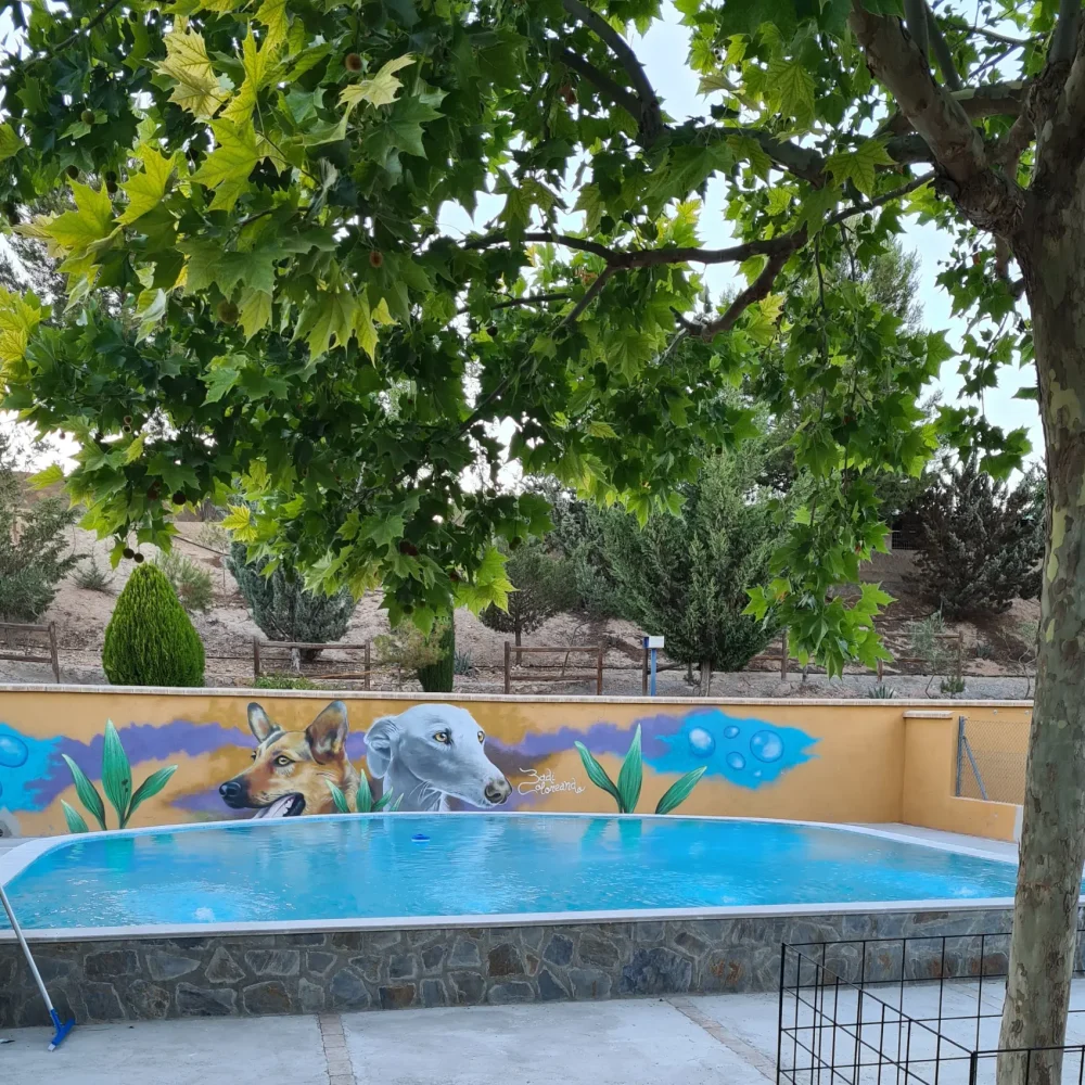 Residencia