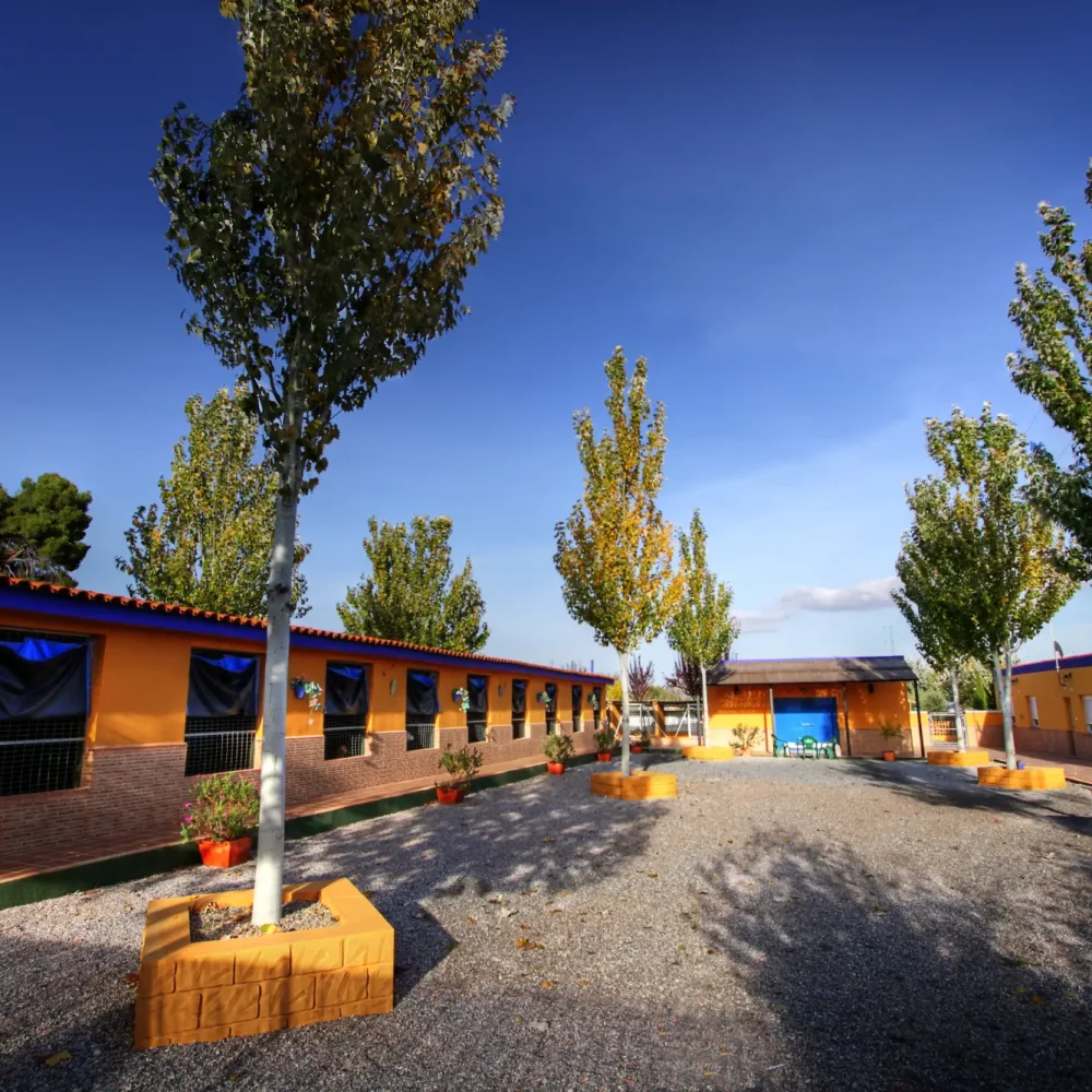 Residencia