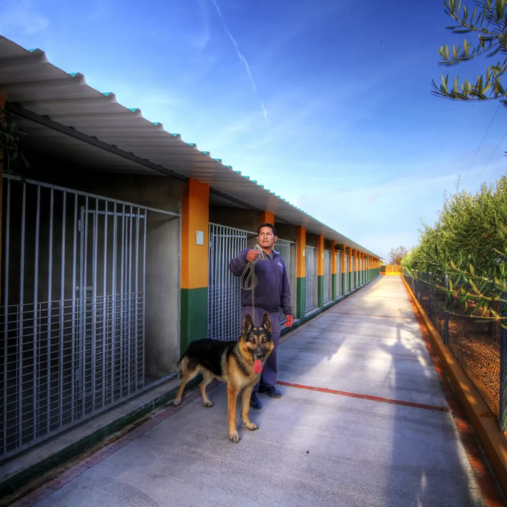 Residencia