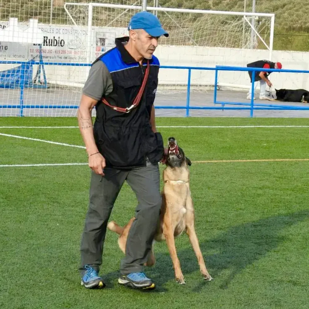 adiestramiento lagos