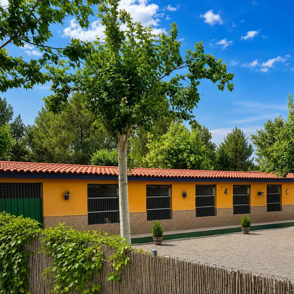 residencia